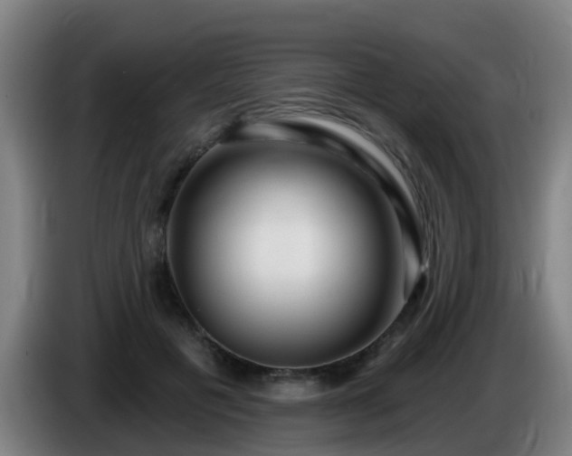 X0000086100601200703301216