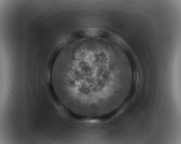 X0000086100602200703301216