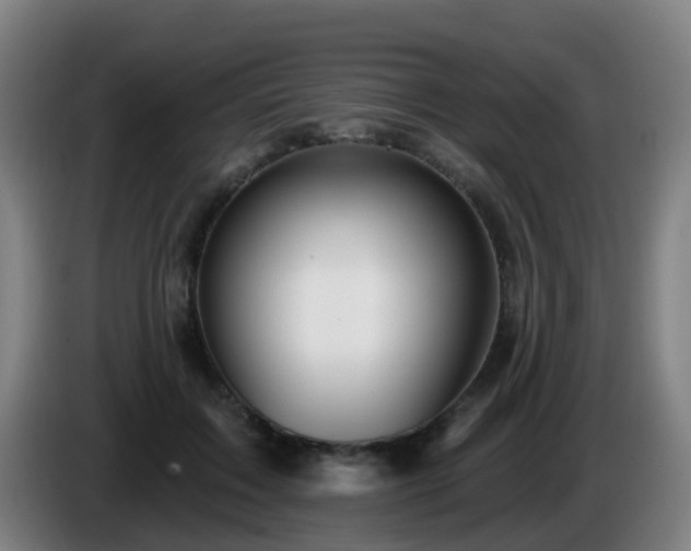 X0000086100603200703301216