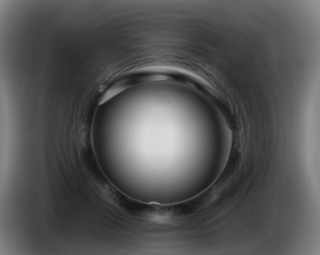 X0000086100604200703301216
