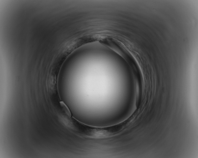 X0000086100605200703301216