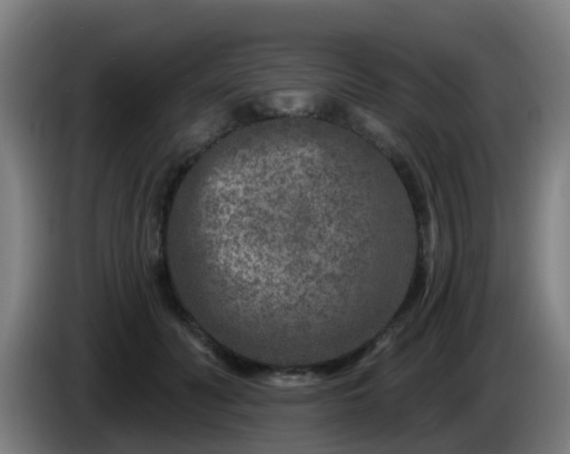 X0000086100606200703301216