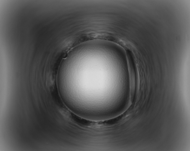 X0000086100607200703301216