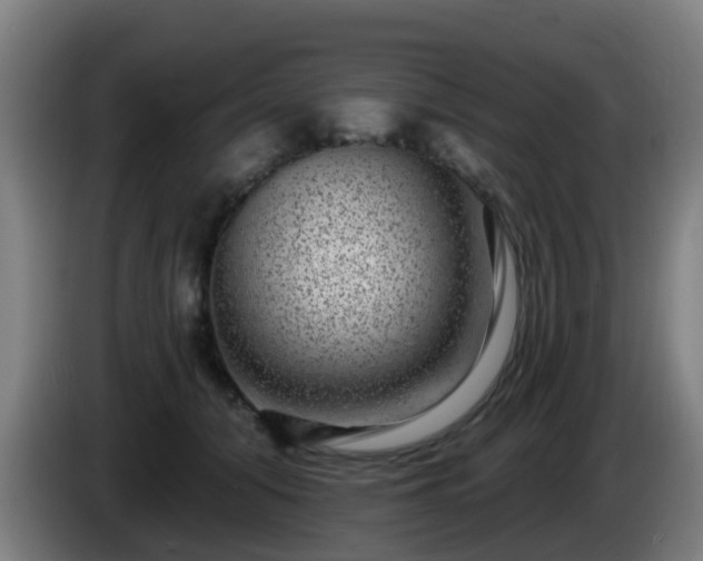 X0000086100608200703301216