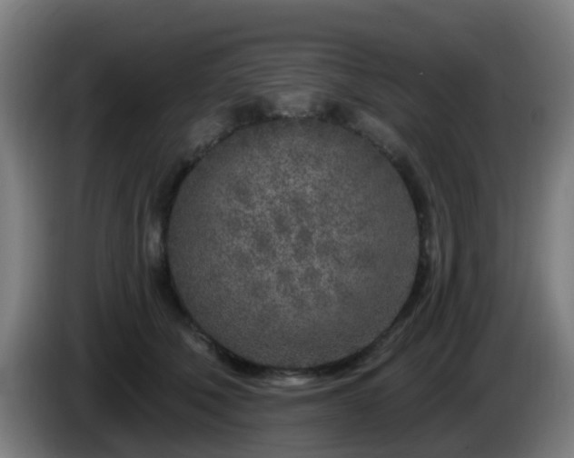 X0000086100610200703301216