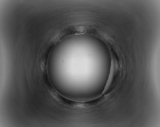 X0000086100611200703301216