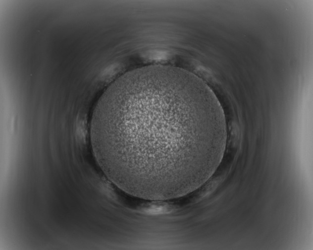 X0000086100612200703301216