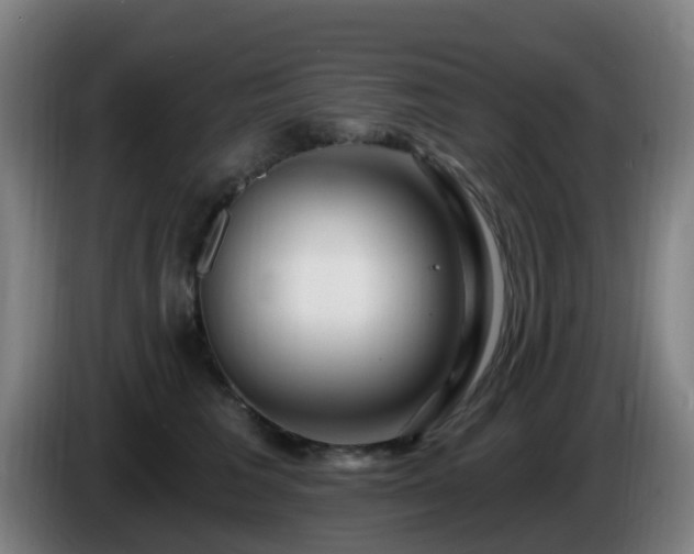 X0000086100613200703301216