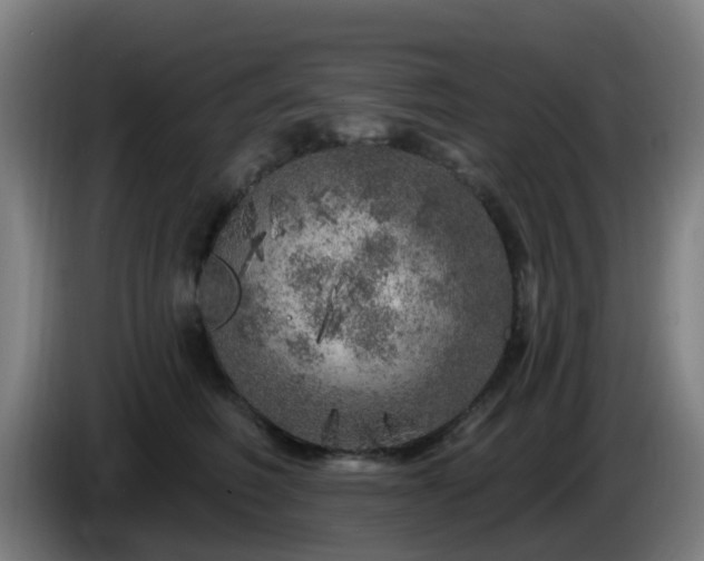 X0000086100614200703301216