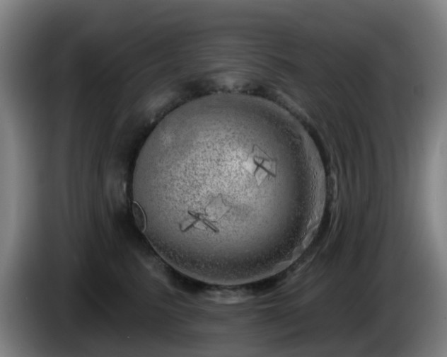 X0000086100615200703301216