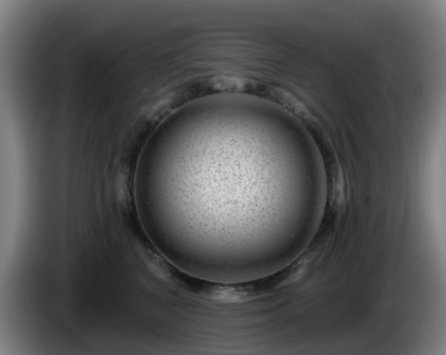 X0000086100616200703301216