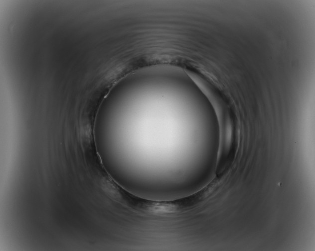 X0000086100617200703301216