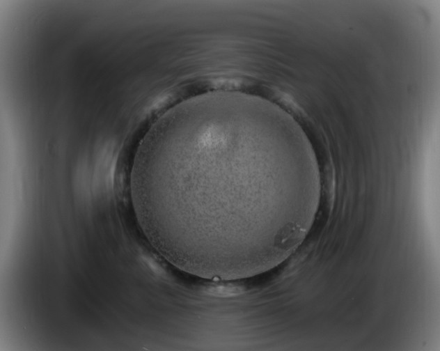 X0000086100619200703301216