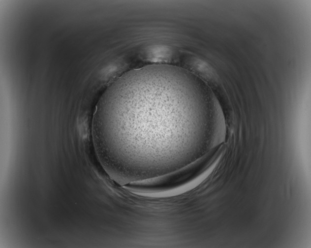 X0000086100620200703301216