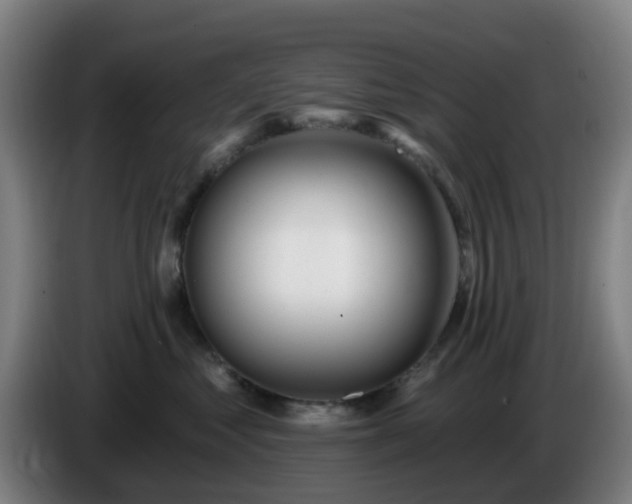 X0000086100621200703301216