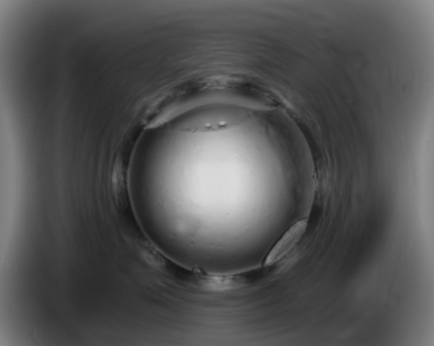 X0000086100623200703301216