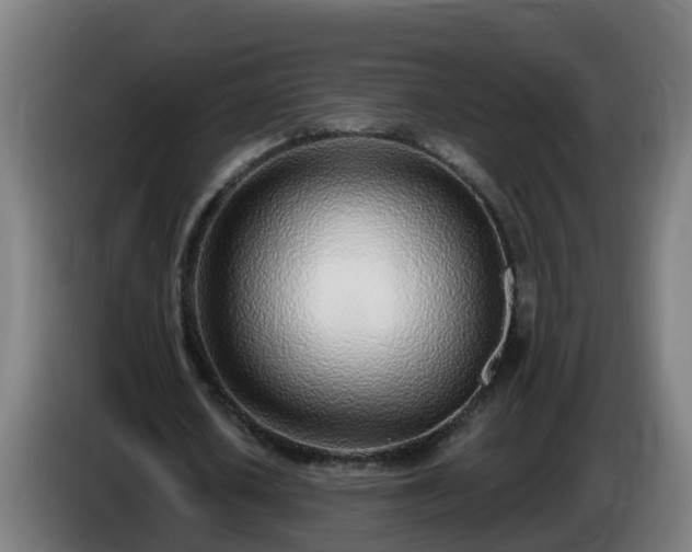 X0000086100626200703301215