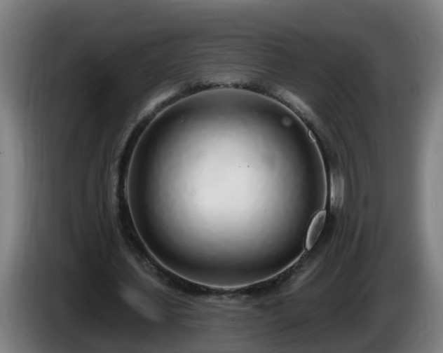 X0000086100627200703301215