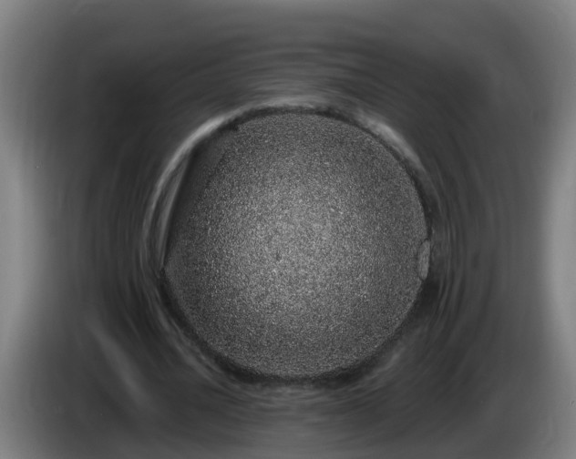 X0000086100628200703301215