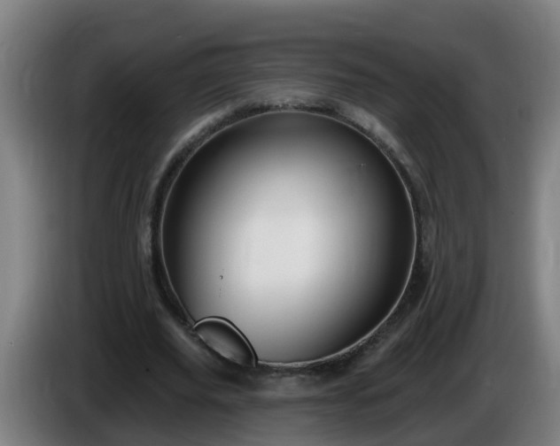 X0000086100629200703301215