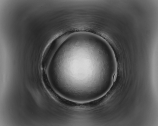 X0000086100630200703301215