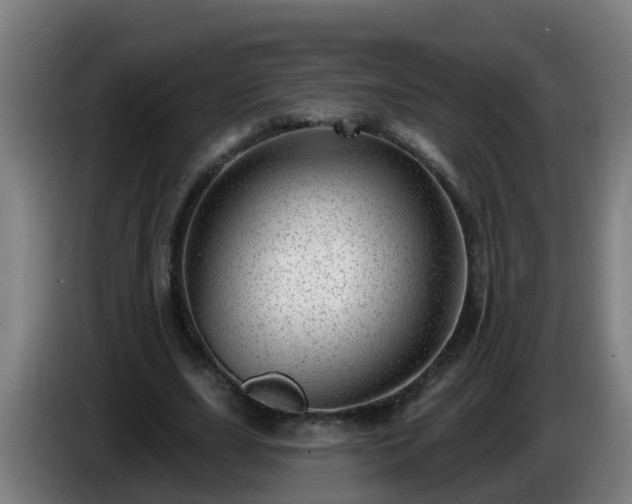X0000086100631200703301215