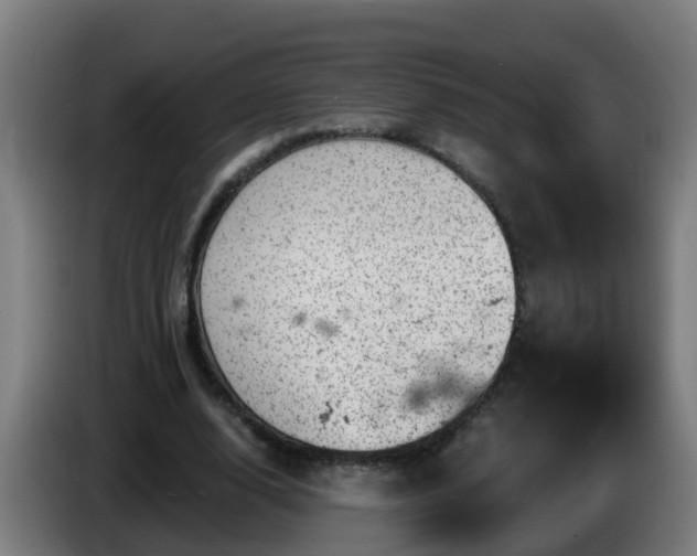 X0000086100632200703301215