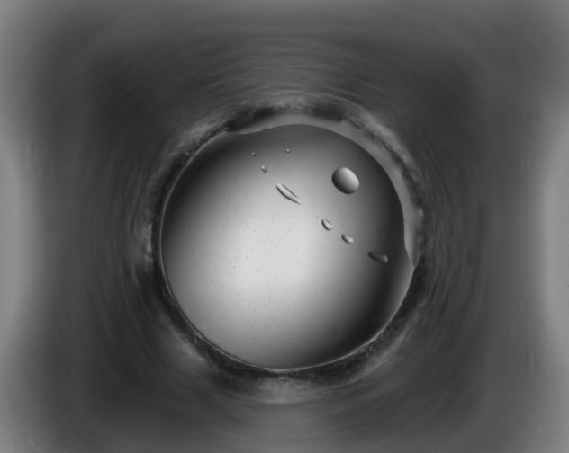 X0000086100633200703301215