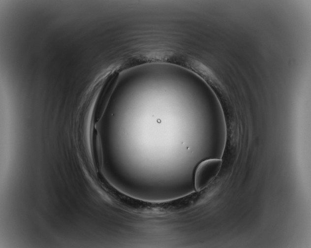 X0000086100634200703301215