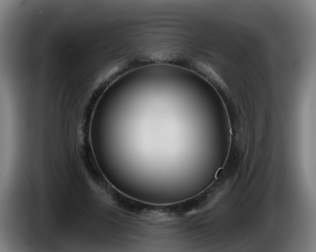 X0000086100635200703301215