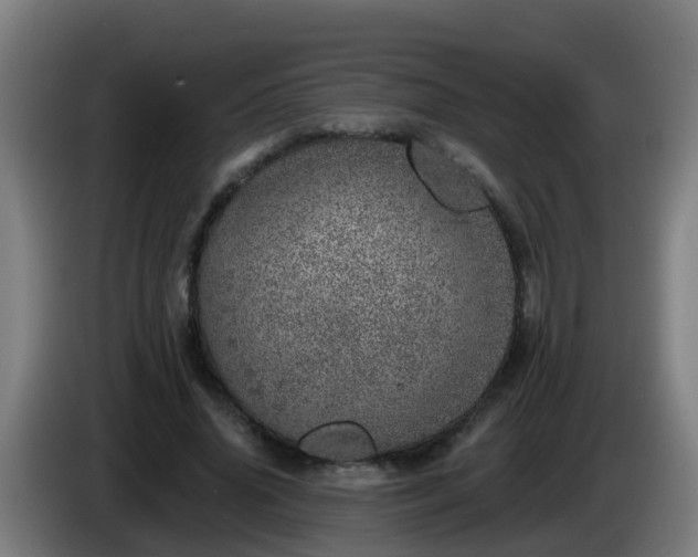 X0000086100636200703301215
