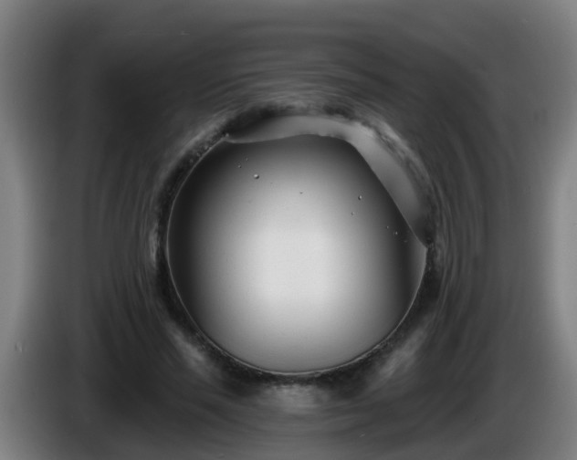 X0000086100637200703301215