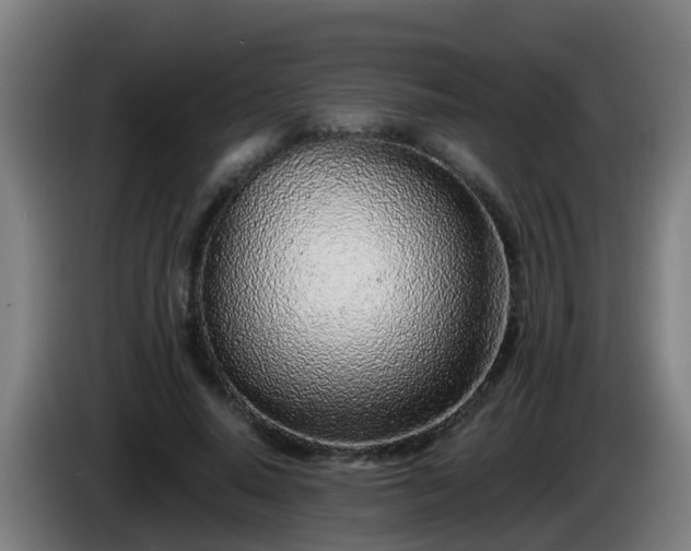 X0000086100640200703301215