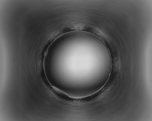 X0000086100641200703301215