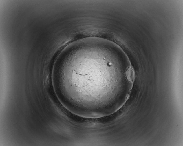 X0000086100642200703301215