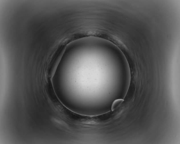 X0000086100643200703301215