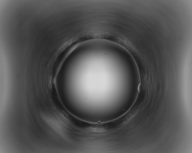 X0000086100644200703301215