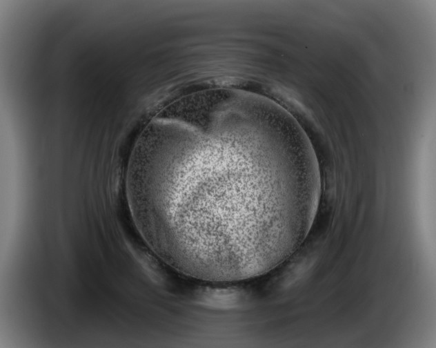 X0000086100645200703301215
