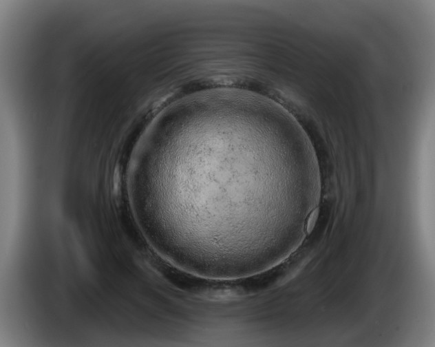 X0000086100646200703301215