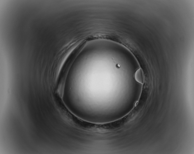 X0000086100648200703301216