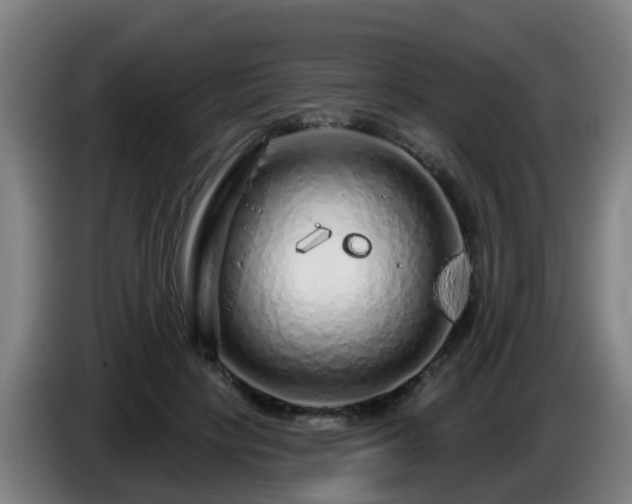 X0000086100649200703301216