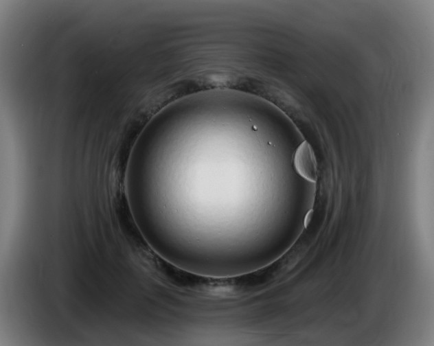 X0000086100651200703301216