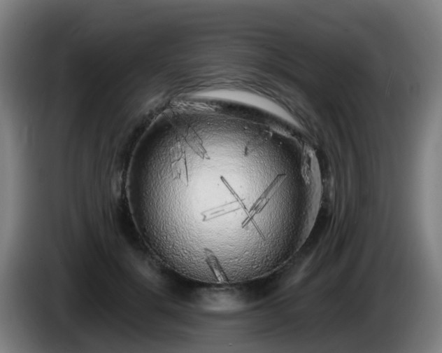 X0000086100652200703301216