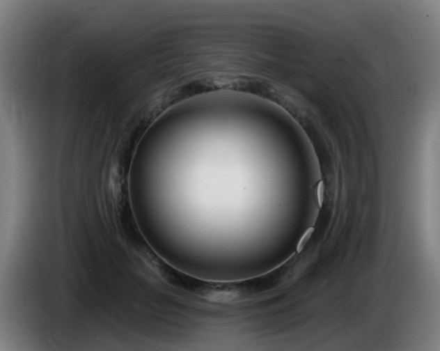 X0000086100653200703301216