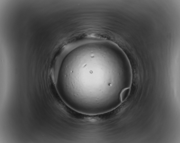 X0000086100654200703301216
