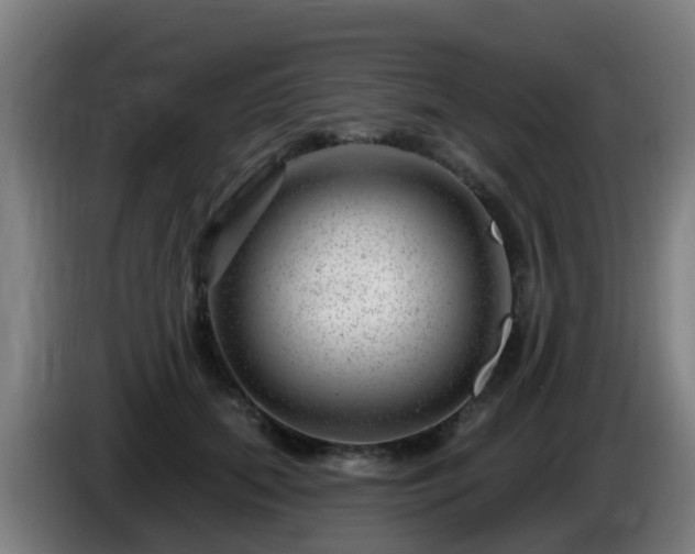 X0000086100655200703301216