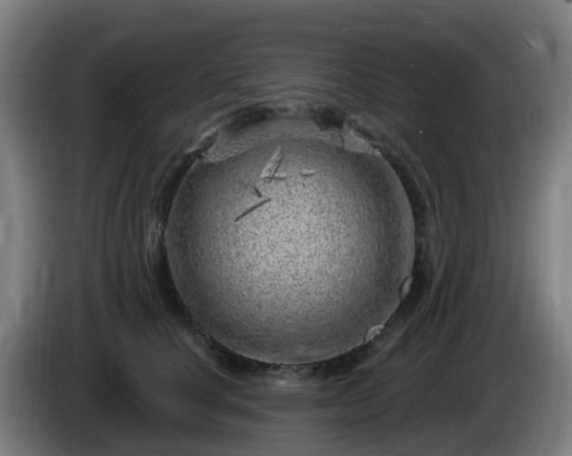 X0000086100660200703301216