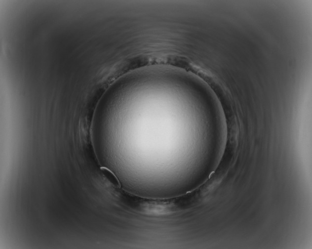 X0000086100661200703301216