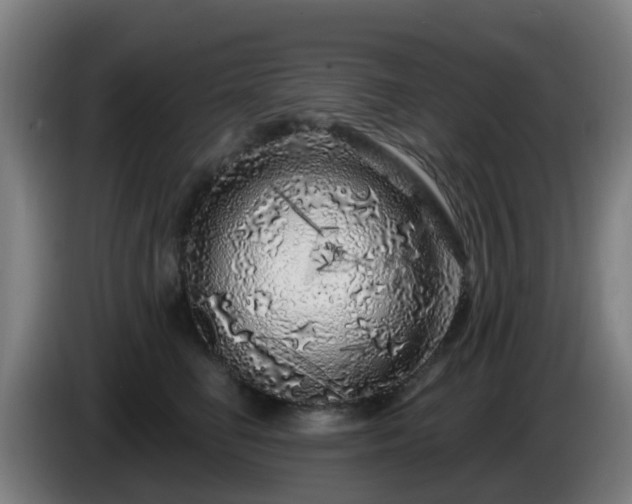 X0000086100662200703301216