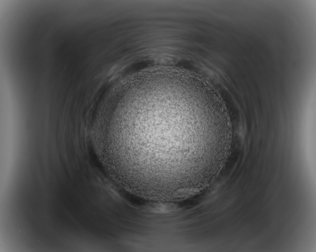 X0000086100663200703301216